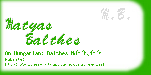 matyas balthes business card